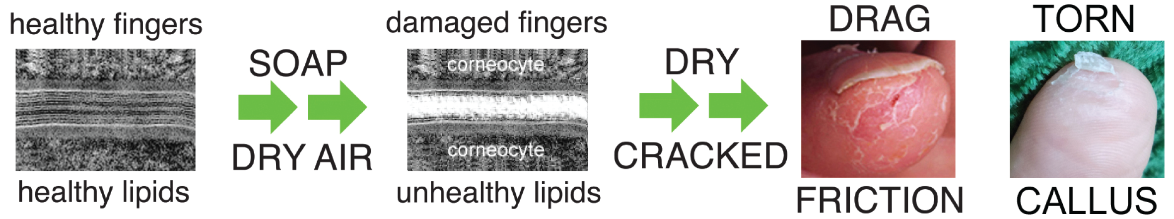 How Cracks Develop How Cracks Develop